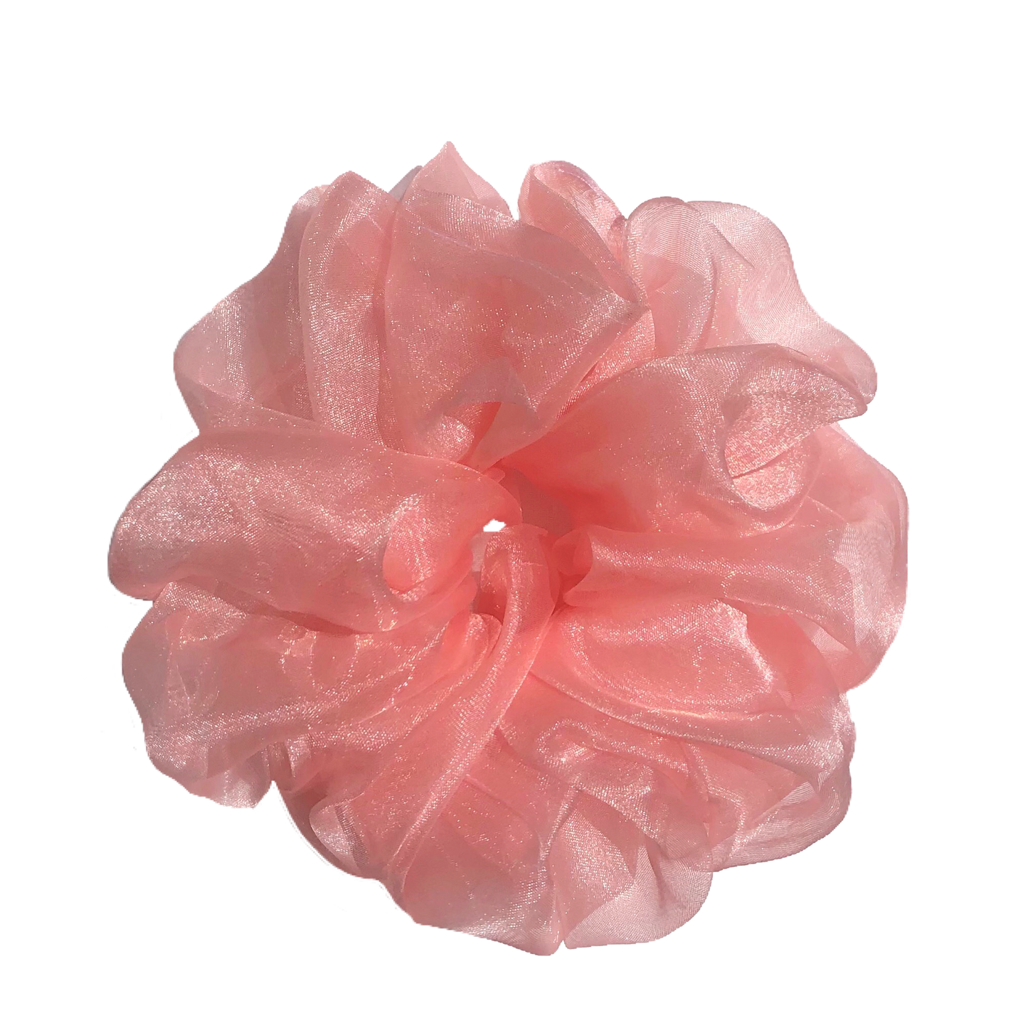 Cherry Blossom